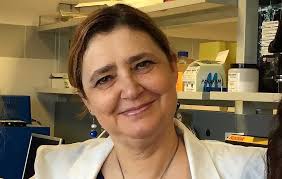 Donne in scienza: a Perugia il premio per ricordare la professoressa e  ricercatrice Ursula Grohmann