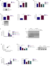 Functions for multivariate generalized pareto distribution (mgpd of type ii). Phenformin Inhibits Hedgehog Dependent Tumor Growth Through A Complex I Independent Redox Corepressor Module Sciencedirect