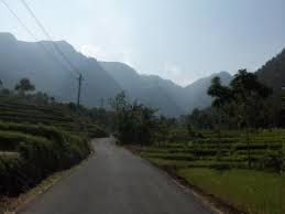 Check spelling or type a new query. Berlibur Ke Perkebunan Teh Kaligua Di Kota Bumiayu Kompasiana Com