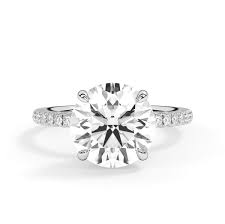 Image result for Pavetta sp. D