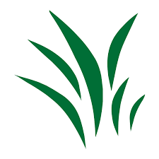 However, persistent bugs and pests can quickly become major problems if left unchecked. Florida Pest Control Pest Control And Exterminators Services In Miami Ft Lauderdale Miami Dade County