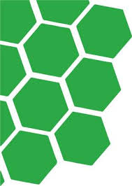 Linee guida MELANOMA