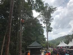 Majlis keselamatan negara‏verified account @mknjpm jan 11. Pendidikan Mengenai Hutan Penting Untuk Kelestarian Hutan Negara Malaysia Aktif