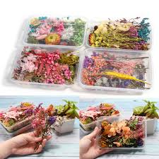 Small real dried flower dry plants for candle epoxy resin pendant necklace jewelry making craft diy accessori. 1 Box Random Real Dried Flower Resin Mold Fillings Uv Expoxy Flower For Epoxy Resin Molds Jewelry Making Craft Diy Accessories