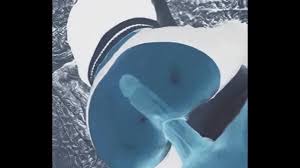X-Ray-ish SEX - HOTT!!! - XNXX.COM
