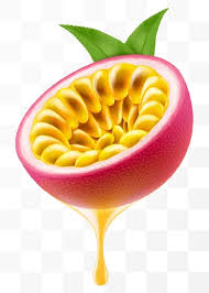 Image result for Coula edulis