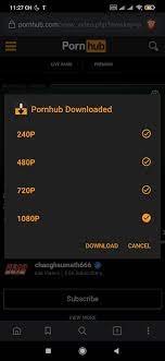 Download videos from pornhub