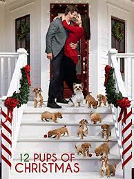Two young girls attempt to bring christmas joy to a cranky old man so santa will bring them puppies for their good deed. 12 Pups Of Christmas 2019 Imdb