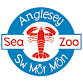 Beach clean and shore safari with Anglesey Sea Zoo