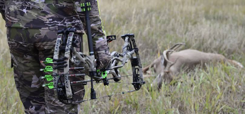 Image result for Hoyt Compound Bows - Where to Find Bows"