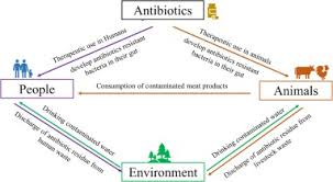 Antibiotic resistance is rising to dangerously high levels in all parts of the world. Addressing The Antibiotic Resistance And Improving The Food Safety In Food Supply Chain Farm To Fork In Southeast Asia Sciencedirect