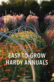 Pin On Cut Flower Garden Growing Resources