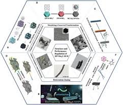 Les mains de bouddha, galerie anne de villepoix, paris ; Frontiers Hierarchical Porous Molybdenum Carbide Based Nanomaterials For Electrocatalytic Hydrogen Production Chemistry