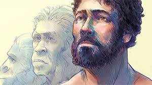 Dr. Terry Mortenson Articles