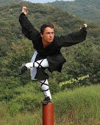 Pin By Sidney Carvalho On Essen Kung Fu Martial Arts Martial Arts Workout Shaolin Kung Fu