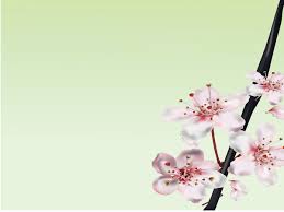 خلفيات بوربوينت ناعمة للبنات, جديد فجديد فعالم البنات. ØµÙˆØ± Ø¨ÙˆØ±Ø¨ÙˆÙŠÙ†Øª Ù‡Ø§Ø¯Ø¦Ø© ØµÙˆØ± Ø¨ÙˆØ±Ø¨ÙˆÙŠÙ†Øª Ù†Ø§Ø¹Ù…Ø© Ø¹Ø§Ù„ÙŠØ© Ø§Ù„Ø¯Ù‚Ø© Ø§Ø±ÙˆØ¹ Ø¨ÙˆØ¨ÙˆÙŠÙ†Øª Ù‡Ø§Ø¯Ø¦Ø© 2021 ØµÙ‚ÙˆØ± Ø§Ù„Ø¥Ø¨Ø¯Ø¢Ø¹