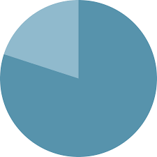 80 pie chart transparent png stickpng