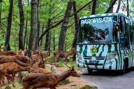 We did not find results for: Yuk Kunjungi 4 Kebun Binatang Di Jatim Ada Terbaik Di Asia