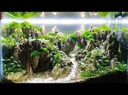 33 Aquascape tema bukit model 2 - YouTube