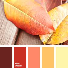 Does red and yellow match. Color Palette 2606 Color Palette Yellow Color Balance Color Palette