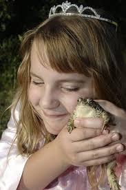 Toad Hopper Stock Photos