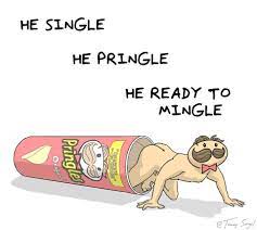 Single Pringle Ready To Mingle Memes