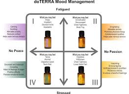 Take Charge Of Your Moods With Essential Oils Part Ii