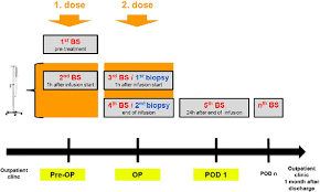 study flow chart overlooking the study period schematically