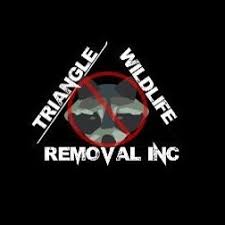 The main diet of the big brown bat are various insects that tend to be pests to the farmer, thus bats are a predator that our environment needs. Triangle Wildlife Removal Pest Control Inc Trianglewild Twitter