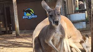 ZooWorld Zoological Park – South Walton ...
