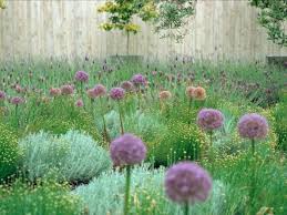 1001 Ideen Fur Garten Gestalten Mit Wenig Geld Garten Gestalten Mediterrane Pflanzen Arten Von Blumen