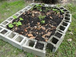 How to make a raised garden bed. Ugly But Free A Raised Bed Garden Made Of Cinder Concrete Blocks Hydrangeas Blue