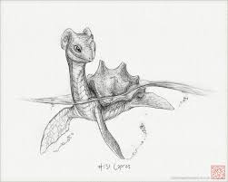 Super Shark Studio Pokemon Drawings Pokemon Art Pokemon Sketch