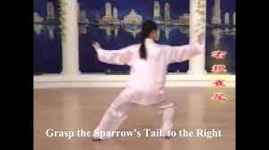 As she says, you will have tai chi chuan your whole life. 24 Tai Chi Video With English Subtitles And Narrations Tai Chi Tai Chi Video Tai Chi Chuan