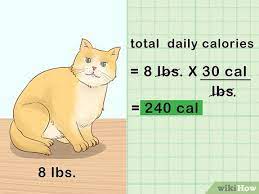 A body condition score is more accurate in assessing the weight of cats. How To Count Calories In Your Cat S Food 11 Steps With Pictures
