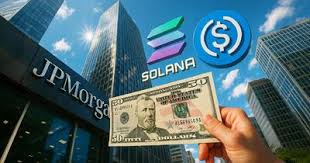 قیمت سولانا