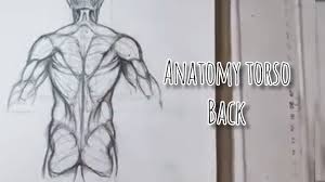 Learning to draw people can be quite challenging but we can make the process much easier by simplifying down the forms. Anatomy Drawing Tutorial Torso Youtube