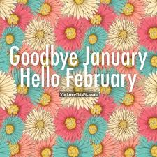 According to the julian and gregorian february is the second month of the year and has 28 days. February Colorful Business Quotes 28 Best February Daily Quote Images February Quotes Daily Dogtrainingobedienceschool Com