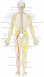 Pin On Health