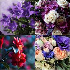 Maybe you would like to learn more about one of these? What The Number Of Flowers In A Bouquet Means