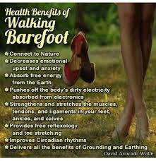 Why Is Earthing Important What Is Grounding Kelly The Kitchen Kop Health Benefits Of Walking Benefits Of Walking Health Benefits