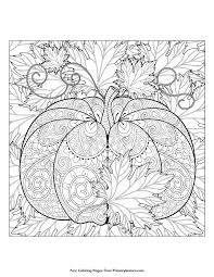 This coloring book contains 123 pages of different unique jumbo pictures with double pages not a single page. 75 Coloring Pages For Big Kids Ideas Coloring Pages Printable Coloring Pages Printable Coloring