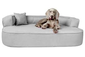 Wie man das sofa zerstört und den hund. Lotte Orthopadisches Hundesofa Tierlando