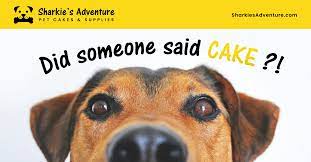 Dog parents can confidently shop for birthday surprises at petco, knowing they'll find birthday cakes and treats and other perfect gifts. Where To Buy Dog Cakes 9 Shops In Manila Wanderpinas