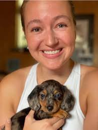 Great experience from start to finish with Logan's Dachshund puppies for  adoption The Reservation was done online, and when our puppy arrived, we  received him healthy and strong in our arms .