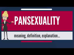 What Is Pansexuality What Does Pansexuality Mean Pansexuality Meaning Definition Explanation Youtube