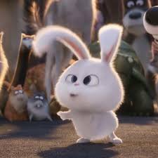 Tema kartun kelinci lucu for android apk download. Pin Oleh Eliosky Pineda Di 3 Gambar Kelinci Kartun Gambar Kucing Lucu