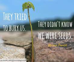 Check spelling or type a new query. Quote Mexican Proverb They Tried To Bury Us They Didn T Know We Were Seeds Funny Motivational Quotes Motivational Quotes For Working Out Uplifting Quotes