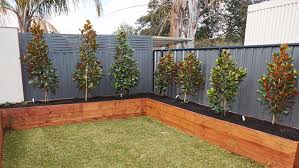 The most amazing plants for your fence line: Great Ideas For Outdoor Privacy Bunnings Australia