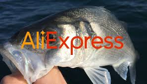 Aliexpress Du Materiel De Peche Pour La Peche Du Bar Seabass Sensation En 2020 Peche Du Bar Peche Conseils De Peche